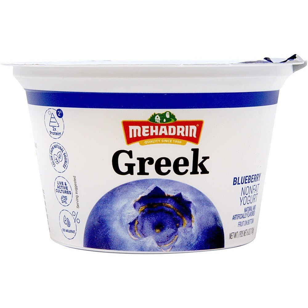 Mehadrin Greek Yogurt - Blueberry