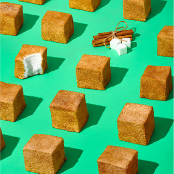 Marshmallow Shop Bites - Snickerdoodle
