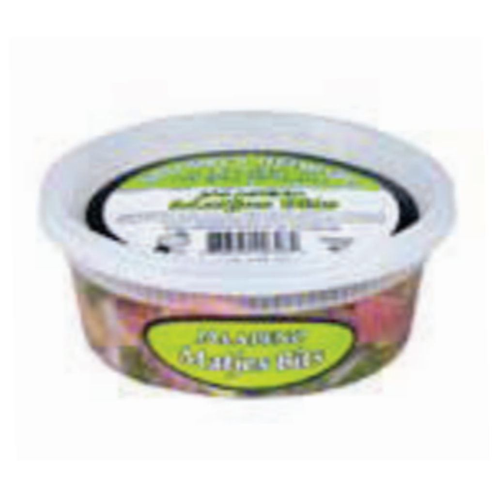 Shloimes Jalapeno Matjes Tidbits