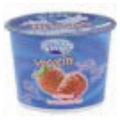 Givat Yogurt - Field Berry